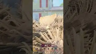 DEMOLITION FAIL | Grounded