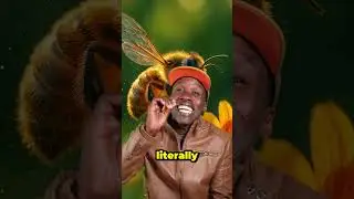 Male honeybees die immediately after mating. Truth or Trash Episode 288 #biology