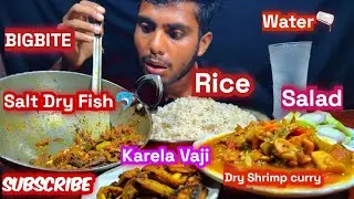 Asmr Eating Rice,Salt Dry Fish Fry🐬,Dry Shrimp Curry🦐,Karela Vaja With Salad @bigeatersurya.