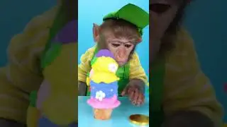 smart monkey used his coin to buy a delicious vanilla ice cream