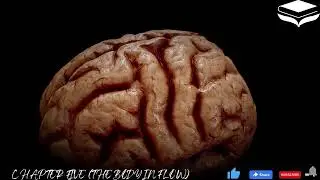 flow: the psychology of optimal experience in Hindi | digital library |