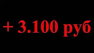 Заказ в магазине Musik Produktiv 2020. Обновление по лимиту. Лимит 200 евро