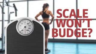 Stuck in a Weight Loss Rut? Watch This. 📉