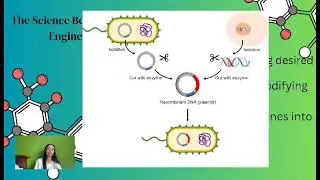 Genetic Engineering (Genetically Modified Organisms: Science, Health and Politics)
