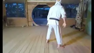 Video # 236 Tomari  Se  San demonstrated by Sensei Nick Flores