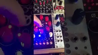 Antumbra ROT8 sequencer