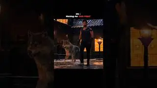 War 2 Fight scene Hyped Movie in the 2025 | Kaifverse | #war2 #war2update #fighter