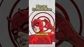 Superpower Ability Human Echolocation 🤯 (explained)