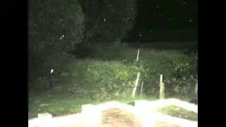 2 GARDEN ORBS