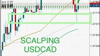 USDCAD SCALPING STRATEGY #trading #best