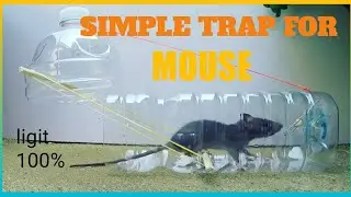 SIMPLE MOUSE TRAP
