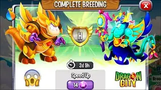 Dragon City: High Toytown Dragon vs High Drowsy Dragon [EXCLUSIVE BREEDING] 😱