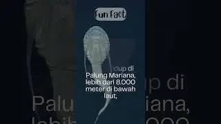 Threadfin Snailfish &mdash; Ikan dari Laut Terdalam di Dunia!  #hiddenfact #viralvideo #lifefacts #trend