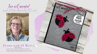 Make this adorable Ladybug Card featuring the Stampin' Up!&reg; Hello Ladybug Bundle