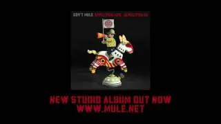 Jorgen's Excited For the New Gov't Mule Record