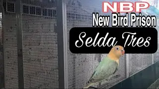 NBP Bilangguan ng mga Alagang Ibon