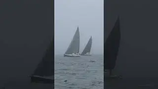 Come Sail Away on Seefest ! #sail #sailing #sailrace #sailfast #regatta