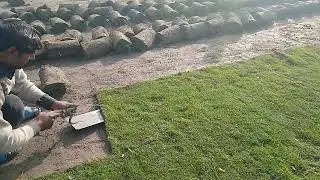 Korean Grass, Fine Dhaka Grass Available, Delivery all over Pakistan 0302 6389049 