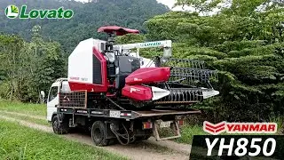 Entrega de Cosechadora Yanmar YH850
