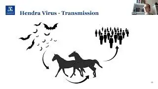 MVS Seminar: Characterising the Antibody Response to Hendra Virus Vaccination in Foals by Kim Carey