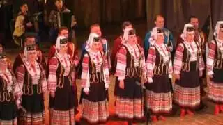 Волинь моя, Козак Мамай Волинський народний хор Українська народна пісня Ukrainian folk song music