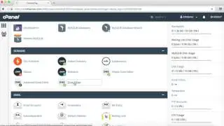 cPanel - View DNS records