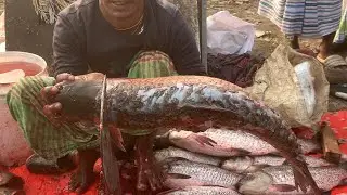 I never seen ll amazing big Gresscrup fish cutting live skills by expert fish cutter in Fishmarket 
