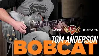 Tom Anderson Bobcat! Natural Arctic Blue