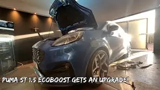 FORD PUMA ST STAGE 1 CUSTOM ECU TUNING!