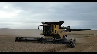 Harvest 2025 Marlborough Downs | England