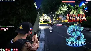 Hydra Vs Seaside In The Hills