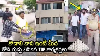 TDP Activists Throw Eggs On Kodali Nani House In Gudivada | Chandrababu | Pawan Kalyan | News Buzz