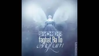 Shadmehr Aghili: Faghat Ba To Eshgham(Instrumental)