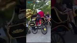 electric cart feedback from client ,  +86 18539053882