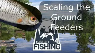 Scaling the Ground Feeders! [ep4]