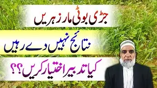 Why herbicides are not giving proper results in wheat crop || Crop Reformer