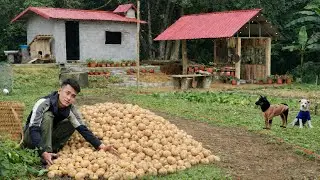 From a Rural Root to a Delicious Meal | A CEO Harvests, Sells at the Market & Builds a New Farm.
