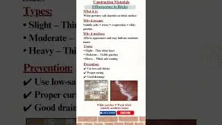 Efflorescence in Bricks | Causes, Types & Prevention #youtubeshorts #civilengineering