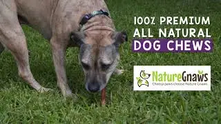 Nature Gnaws Large Bully Sticks Available on Target