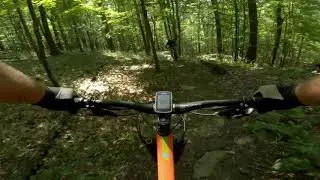 Singletrack Trails // Valley Falls