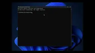 How to use the WinGet tool to update applications