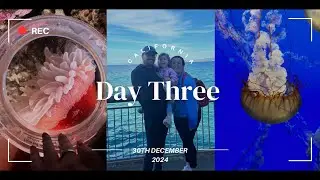 California Day Three - Monterey Bay Aquarium