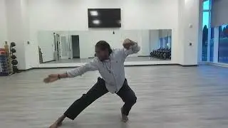 Tibetan White Crane Tai Chi. Begin.  2025/07/24  @20:36:23pm est