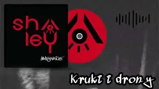 SHALEY - Kruki i drony