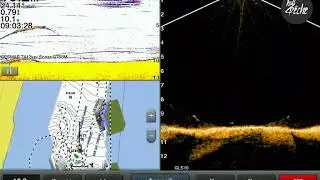 Test Garmin Panoptix Livescope