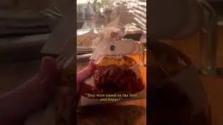 A little different from my normal videos, but&hellip; #bunny #rabbit #vegetarian