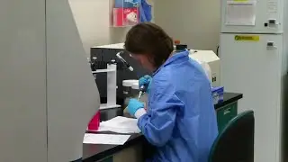 Steps closer to solving unsolved rape cases