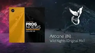 Premiere: Arcane (IN) - Wild Nights [Movement Recordings]