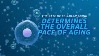 Everything You Need To Know About Cellular Health | Nutrilite AmCELL&trade;