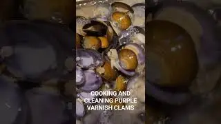 Cooking and Cleaning Purple Varnish Clams #travel #clam #oregoncoast #cooking #seafood